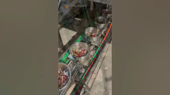 Parrot food mixed weighing packaging line with 32 head Multihead Weigher