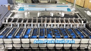Automatic Fruit Clamshell Filler & Packer