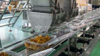 Automatic Diced Mango Weighing & Boxing Line | 50 Boxes/Min | TOUPACK